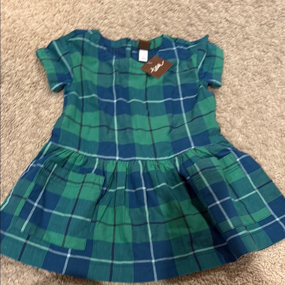 New with Tags Tea Collection Green and Blue Pleated A-Line Dress